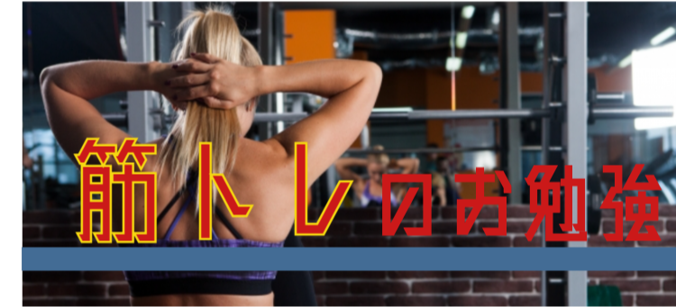 筋トレのお勉強